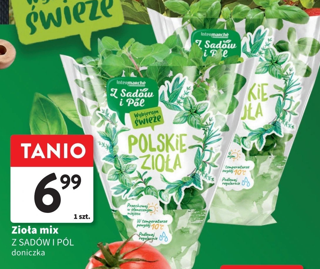 Mięta Z sadów i pól promocja w Intermarche