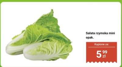 Sałata rzymska mini opak. promocja w Biedronka