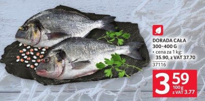 Dorada cała 300-400 g promocja w Selgros