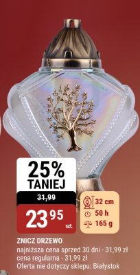 ZNICZ DRZEWO promocja w bi1