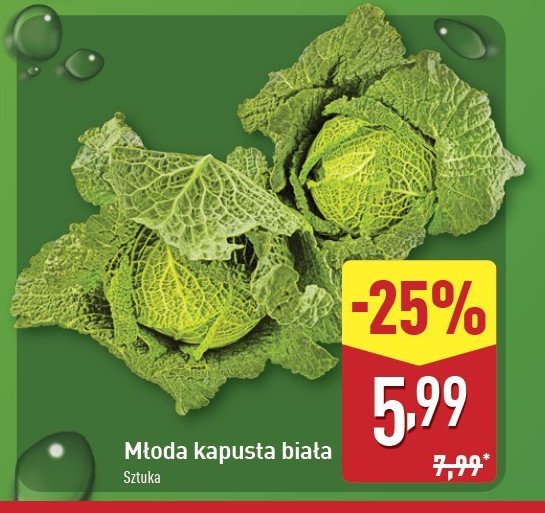 Kapusta biała młoda promocja w Aldi