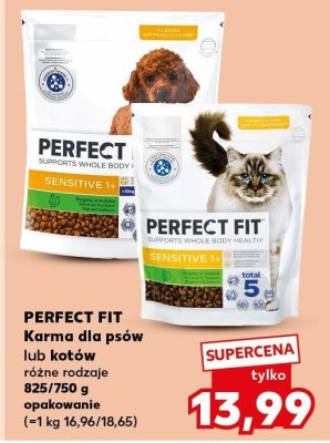 Karma dla psów lub kotów, różne rodzaje promocja w Kaufland