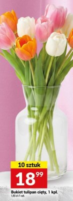 Bukiet tulipan cięty, 1 kpl. promocja w Twój Market