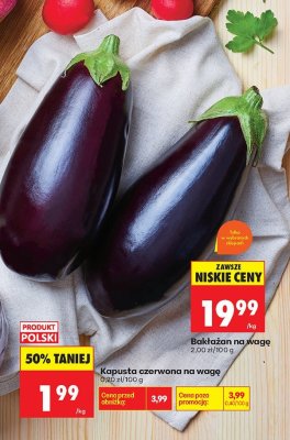 Kapusta czerwona na wagę promocja w Biedronka