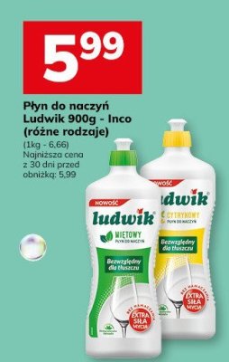 Płyn do naczyń Ludwik 900g - Inco (różne rodzaje) (1kg - 6,66) promocja w Hitpol