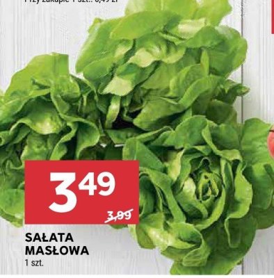 Sałata masłowa promocja w Stokrotka