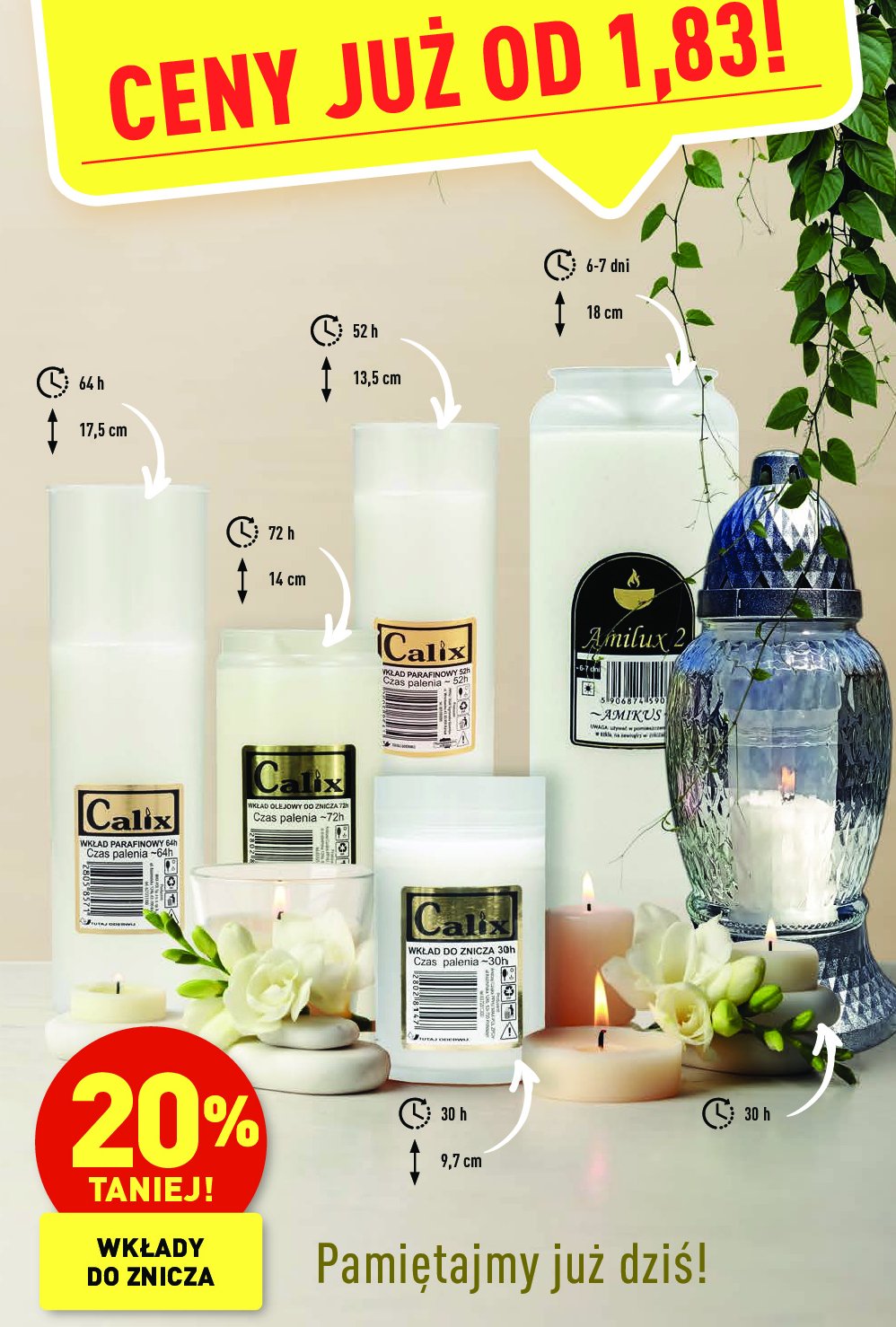 Znicz 30 h Calix promocja