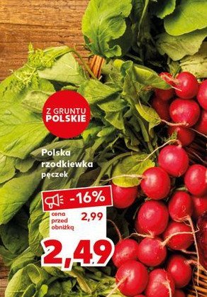 Rzodkiewka polska promocja