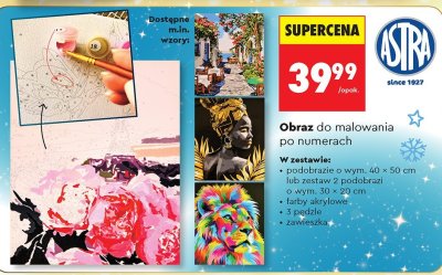 Obraz do malowania po numerach  promocja w Biedronka
