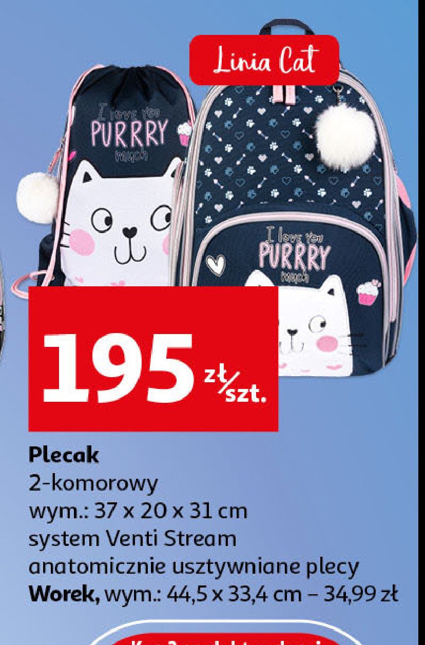 Plecak 2-komorowy cat promocja