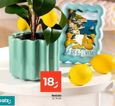 Doniczka promocja w Dealz