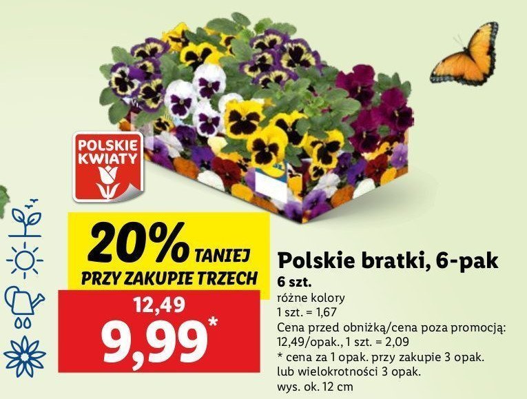 Bratki promocja