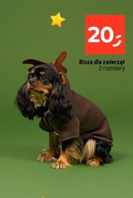Bluza dla zwierząt promocja w Dealz