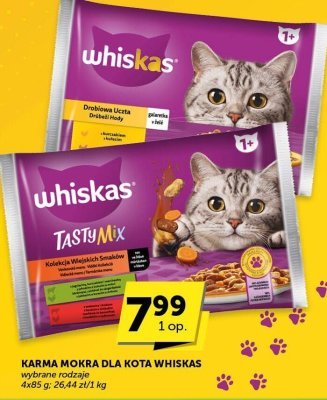 Karma mokra dla kota Whiskas promocja w Groszek