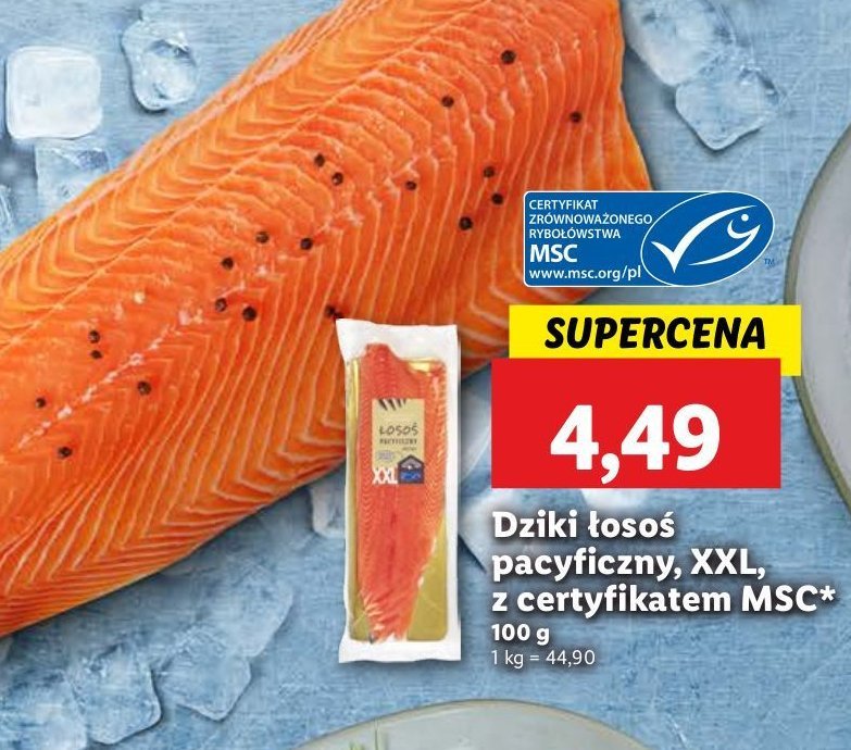 艁oso艣 dziki pacyficzny promocja