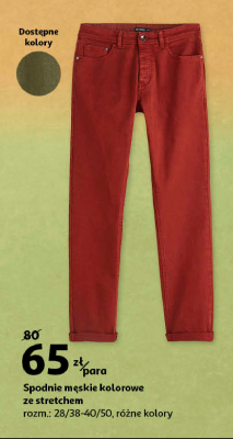 Spodnie męskie kolorowe ze stretchem Auchan inextenso promocja