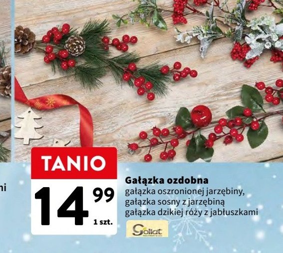 Ga艂膮zka oszronionej jarz臋biny Goliat promocja