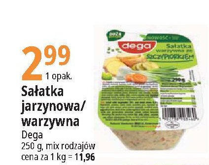 Sa艂atka wiosenna ze szczypiorkiem Dega promocja
