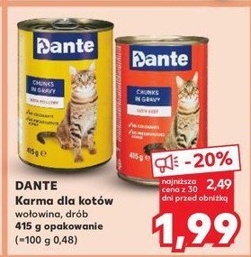 Karma dla kota wołowina Dante promocja