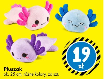 Pluszak ok. 25 cm, różne kolory promocja w Tedi