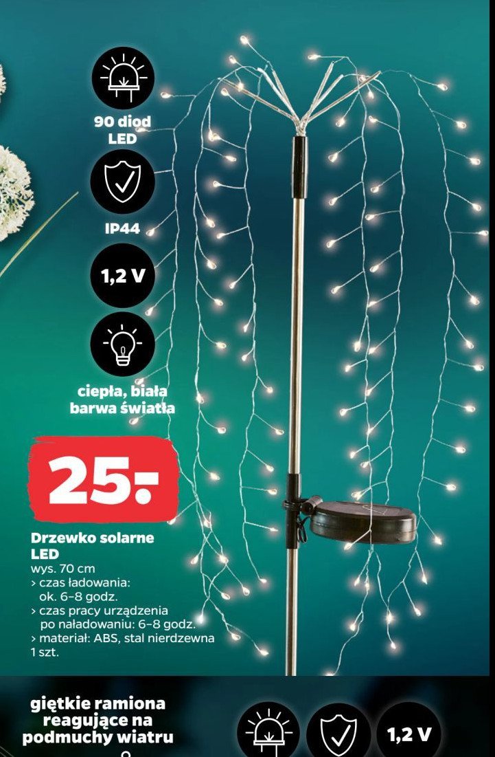 Drzewko solarne led 70 cm promocja w Netto