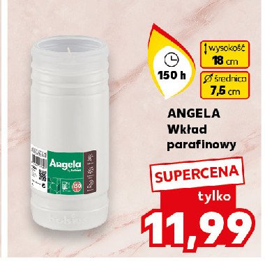 Wkład parafnowy angela 150 h Bolsius promocja