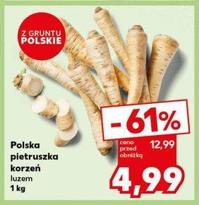 Pietruszka korzeń promocja