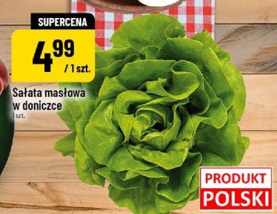 Sa艂ata promocja w POLOmarket