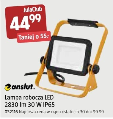 Lampa robocza LED 2830 lm 30 W IP65 Anslut promocja w Jula
