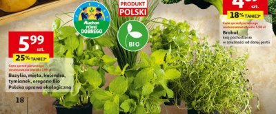 Brokuł, kraj pochodzenia w zależności od danej partii promocja w Auchan