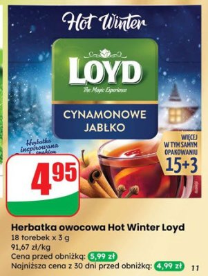 Herbatka owocowa Hot Winter  promocja w Dino