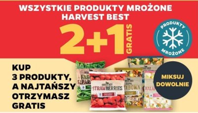 Wszystkie produkty mrożone 2+1 GRATIS promocja w Netto