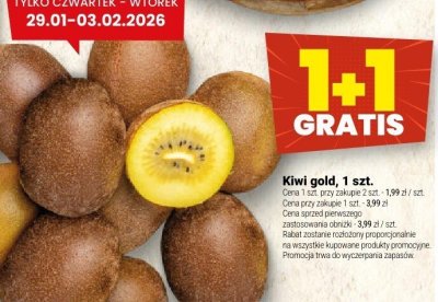 Kiwi gold, 1 szt. promocja w Twój Market
