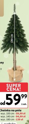 Choinka na pniu 180 cm promocja w Intermarche