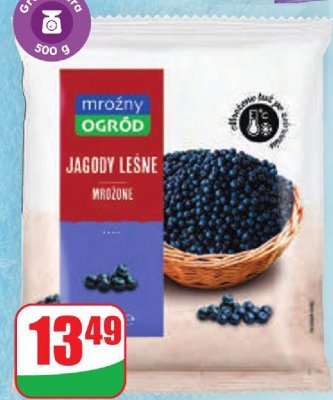 Jagody leśne mrożone  promocja w Dino