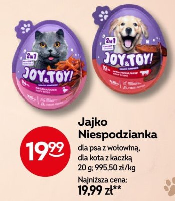 Jajko niespodzianka Joy & Toy! dla psa z wołowiną, dla kota z kaczką promocja w Żabka