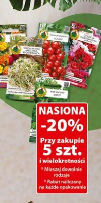 Nasiona - różne rodzaje promocja w Dino