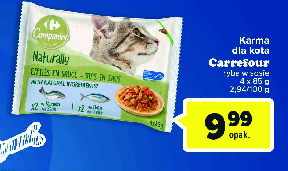 Karma dla kota z rybą CARREFOUR COMPANINO promocja