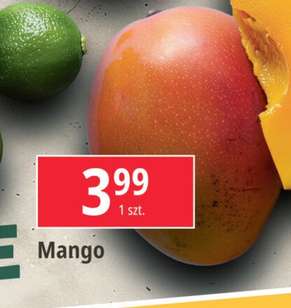 Mango promocja w Leclerc