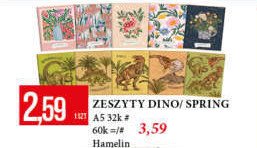 Zeszyt a5 32k. kratka spring Hamelin promocja