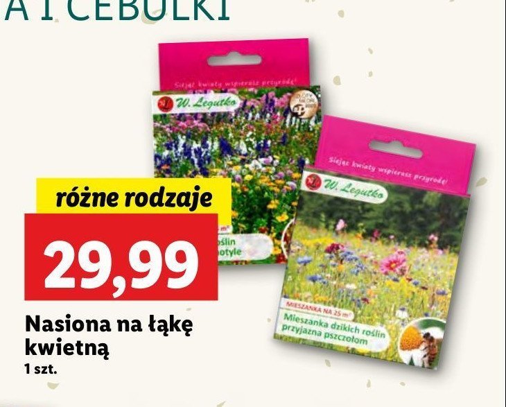 Mieszanka roślin jednorodnych wabiących motyle Legutko promocja