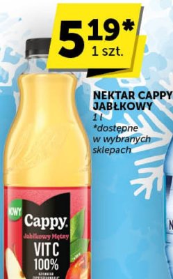 Nektar Cappy jabłkowy promocja w Euro Sklep