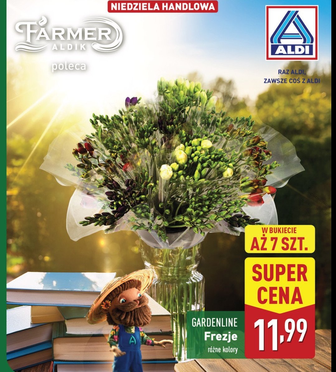 Frezje bukiet GARDEN LINE promocja
