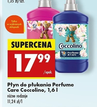 Płyn do płukania waterlily pink grapefruit Coccolino perfume & care promocja w Biedronka