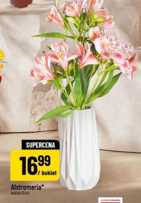 Alstromeria bukiet 8 szt. promocja w POLOmarket