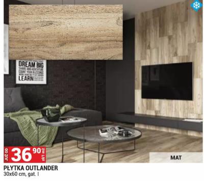 Płytka PŁYTKA OUTLANDER 30x60 cm gat. I promocja w Merkury Market