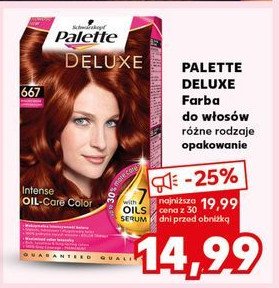 Farba do włosów miedziany mahoń 667 Palette deluxe promocja