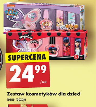 Zestaw kosmetyków psi patrol promocja