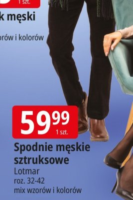 Spodnie męskie sztruksowe Lotmar promocja w Leclerc