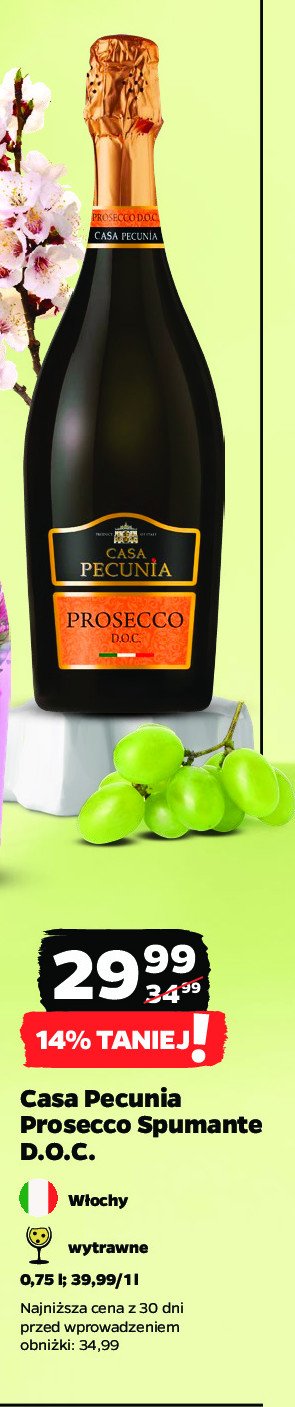 Wino Casa pecunia spumante demi sec rose promocja w Netto